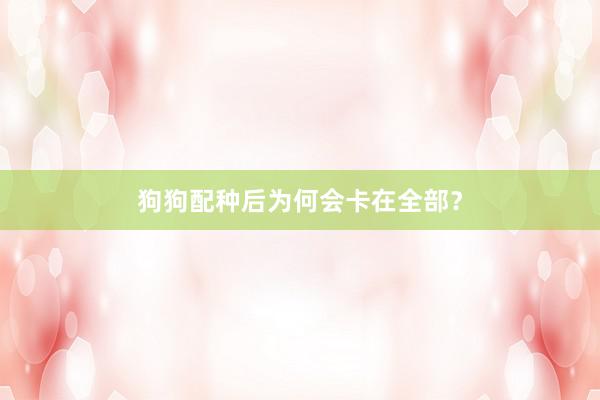 狗狗配种后为何会卡在全部?