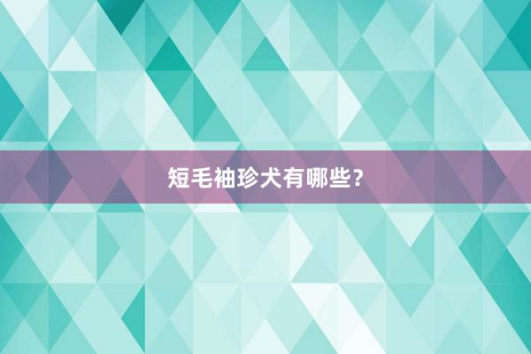 短毛袖珍犬有哪些？