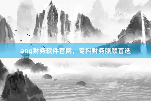 ang财务软件官网，专科财务照顾首选